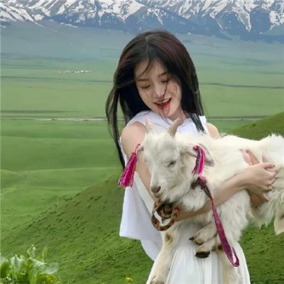 猫片之无喵生还