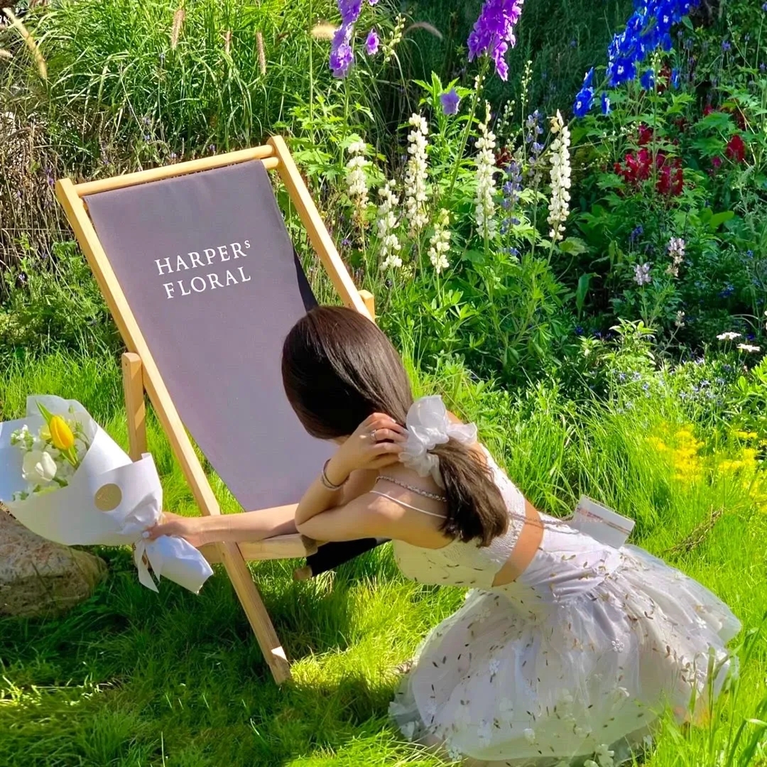 龙与虎OVA：便当的精髓